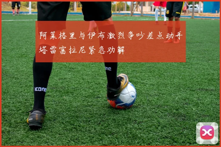阿莱格里与伊布激烈争吵差点动手塔雷富拉尼紧急劝解